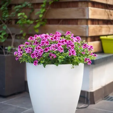 公寓 Luxury In 锡切斯