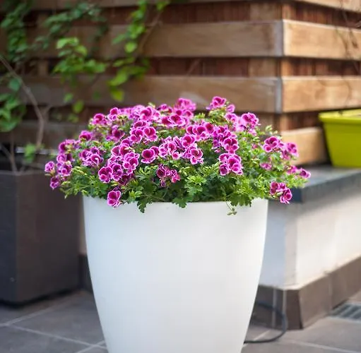 Apartamento Luxury In Sitges